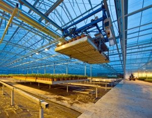 Agricultural robotics helping to meet the demand for future food production