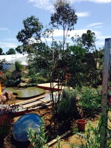Essence of Australia garden